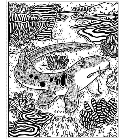 Usborne: Sharks Magic Painting Book