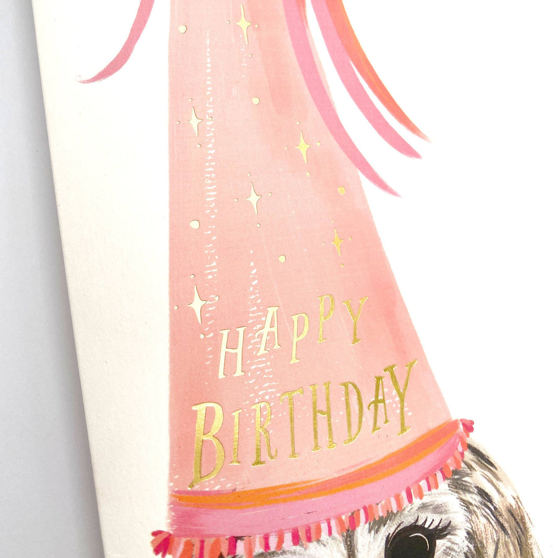 Owl Birthday Hat Happy Birthday GCard