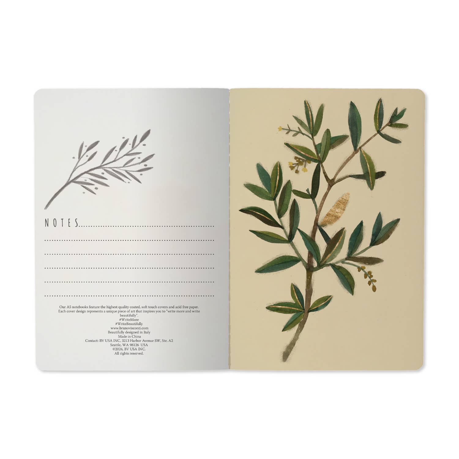Bruno Visconti Olive Notebook 