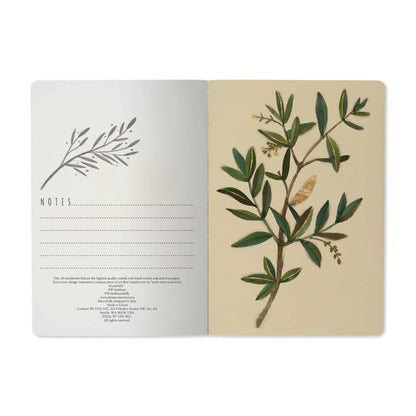 Bruno Visconti Olive Notebook 