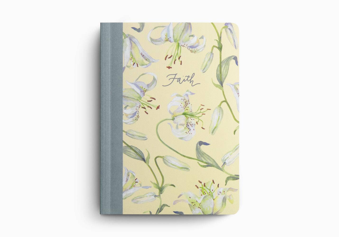 ESV Prayer Journal: 30 Days on Faith by Erika Allen