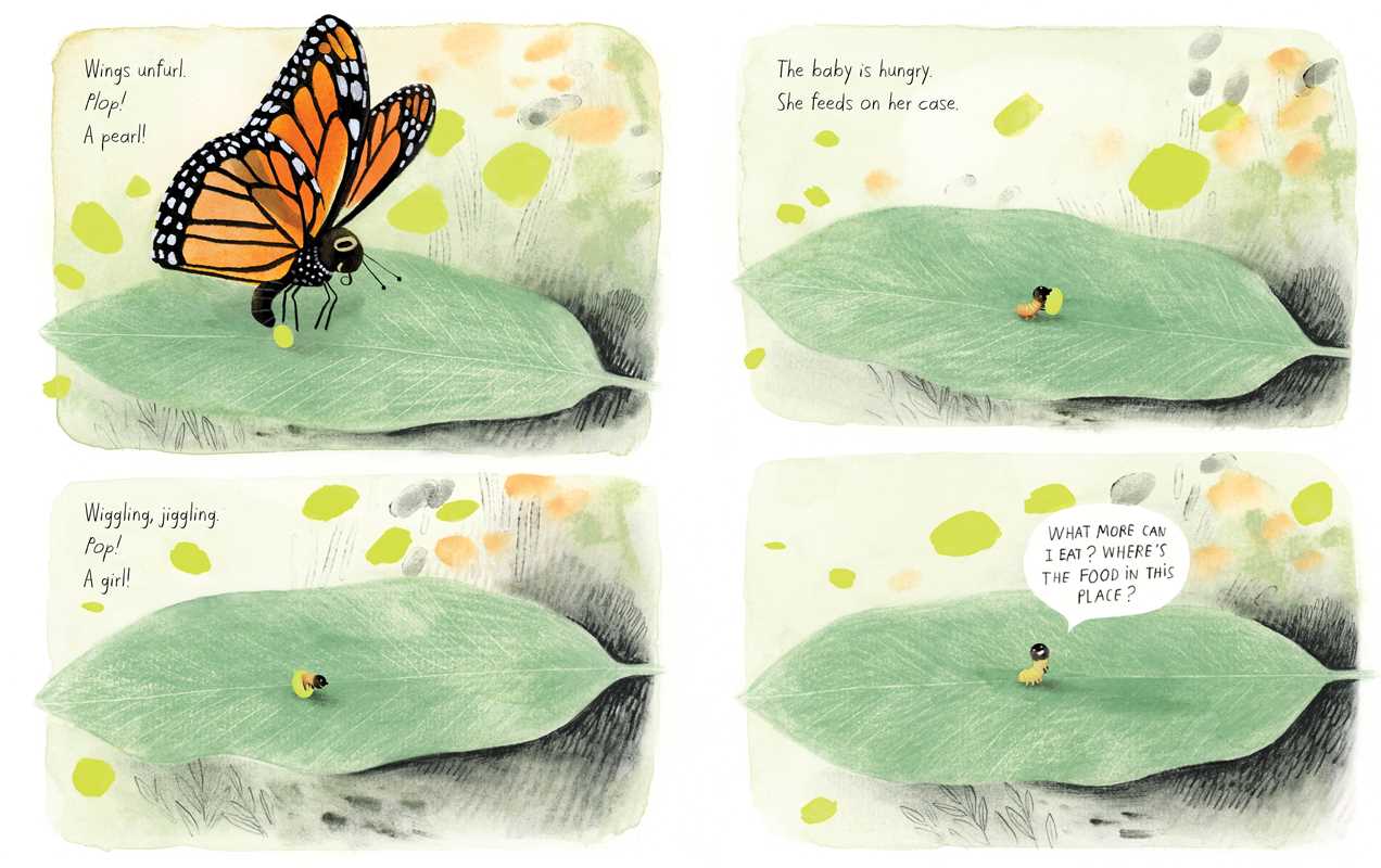 Monarch: Honeybee and Friends by Kirsten Hall