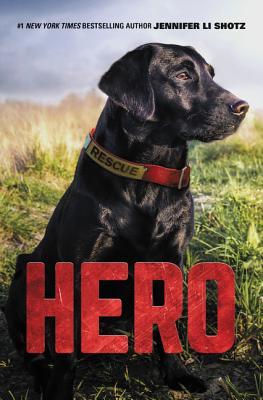 Hero by Jennifer Li Schotz