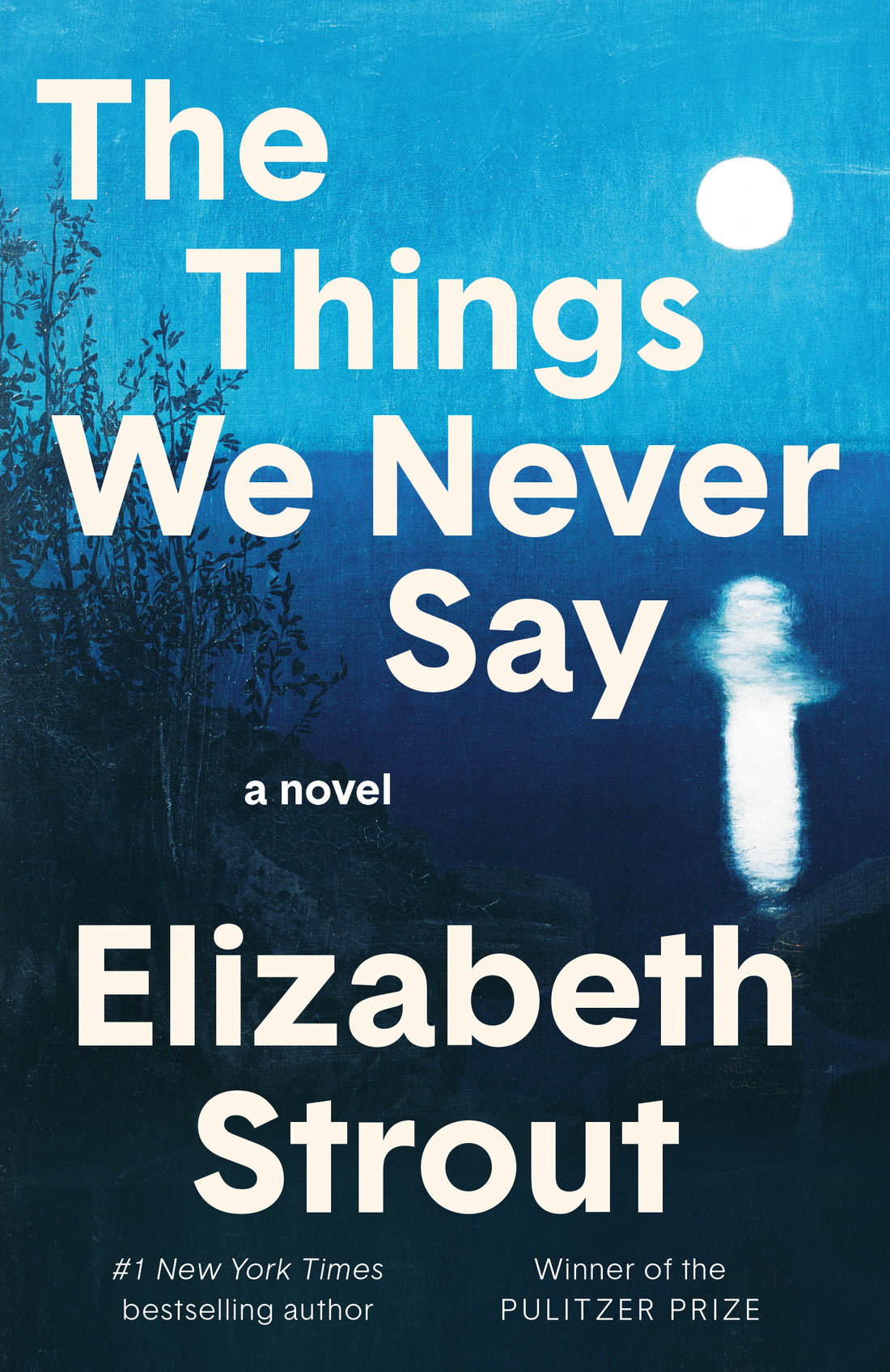 The Things We Never Say: A Novel by Elizabeth Strout