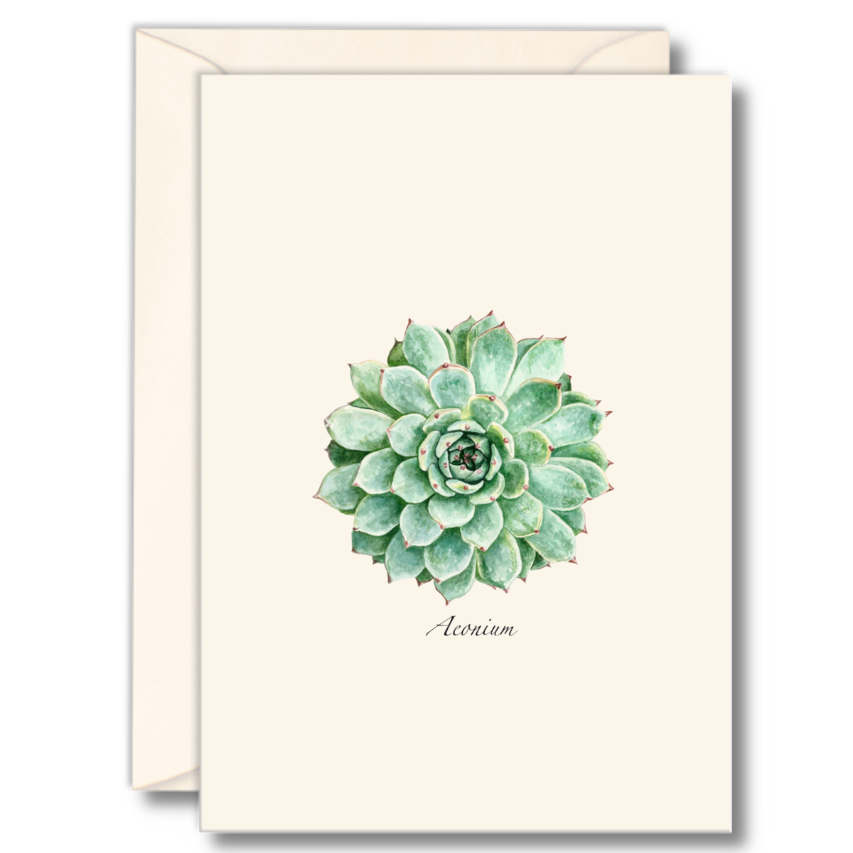 Succulent Greeting Card Set