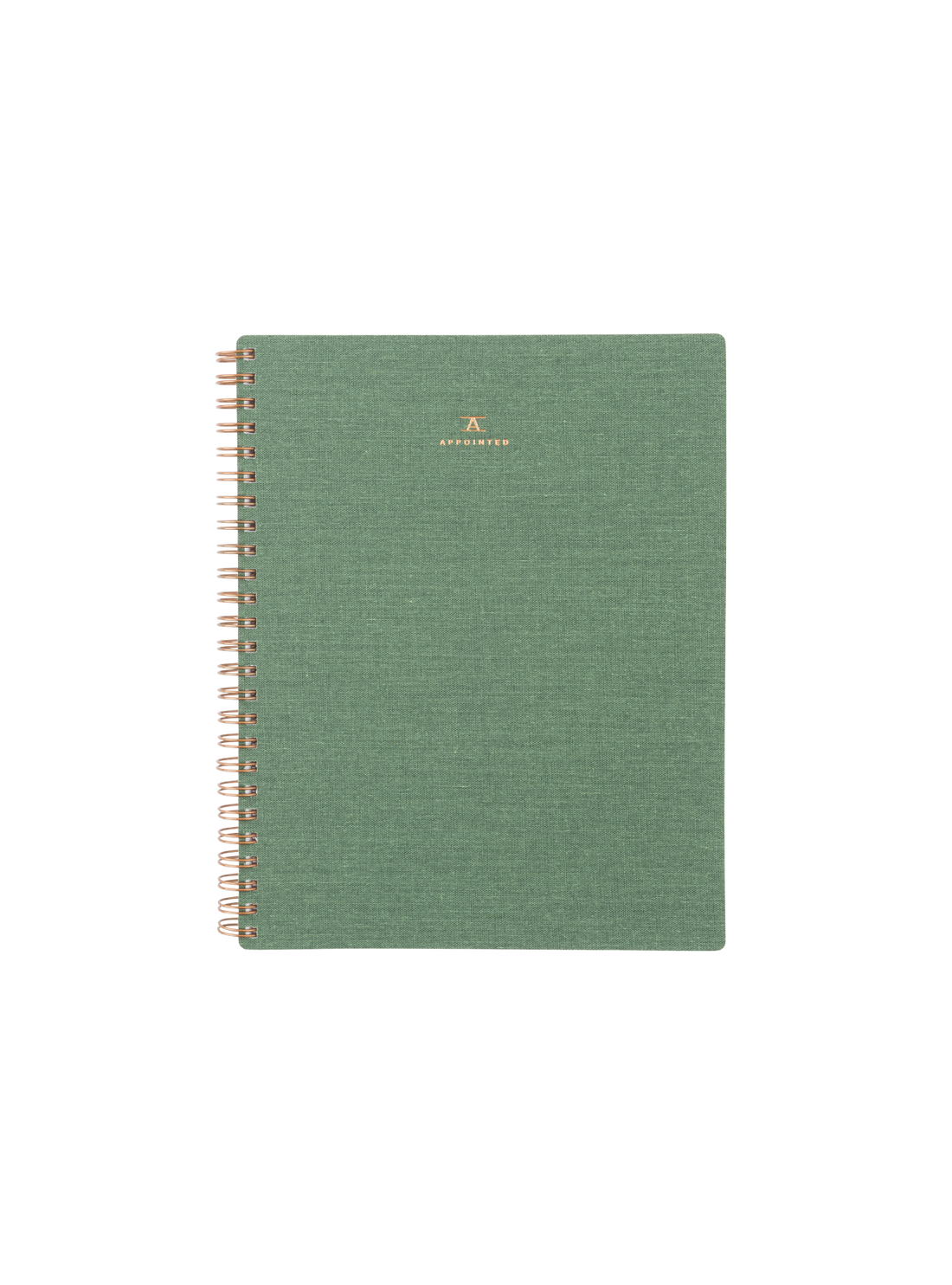 The  Appointed Workbook - Fern Green